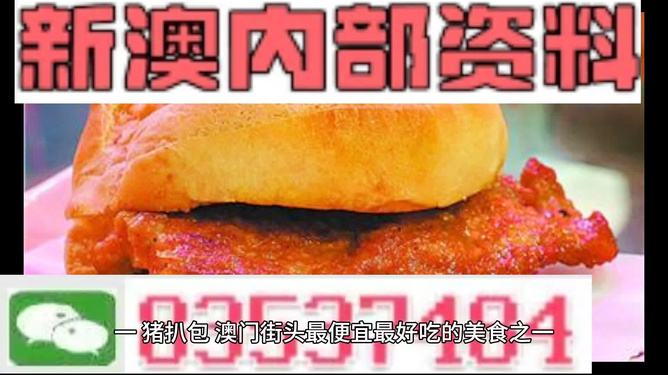 澳门2024年精准资料大全|精选资料解析大全