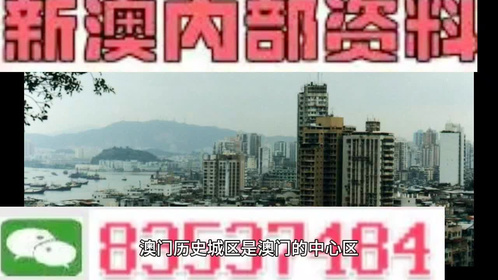 2024澳门每日精选24码精准预测|精选资料解析大全