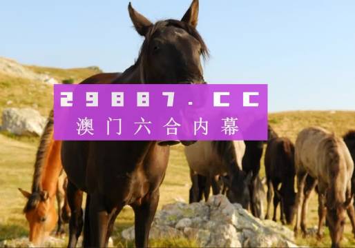 澳门一肖一码100管家婆9995|精选资料解析大全